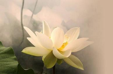 513au勁舞團私服下載必須留意哪些問題 513au勁舞團私服下載必須留意哪些問題